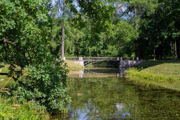 Fototapeta na wymiar bridge over the pond Tsarskoe Selo, Saint Petersburg
