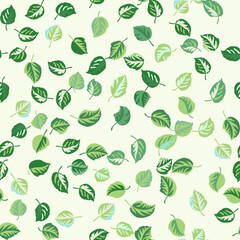 Eco print from green leaves. Seamless floral pattern in leaves of ash, birch. Nature simple background for fabric, cloth design, covers, manufacturing, wallpapers, print, gift wrap and scrapbooking.