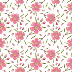 Seamless pattern from a hand-drawn watercolor pink flowers on a white background. Use for menus, invitations.