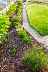 Garden with fresh new lawn, bark mulch area to reduce weed growth and your plants