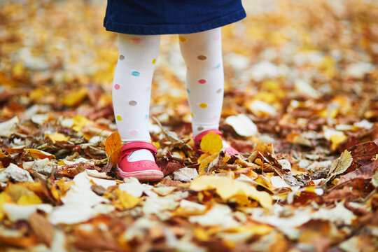 Toddler girl in red shoes and polka dot pantihose standing on fallen leaves in a fall day