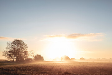 Fototapeta na wymiar Countryside summer sunrise in the morning