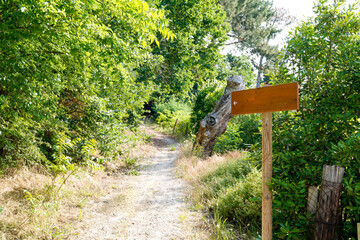 empty wooden sign road front of outdoor pathway in nature forest park