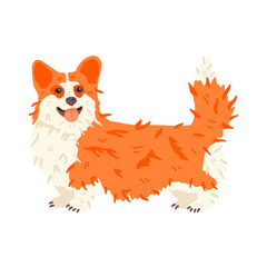 Funny corgi vector flat illustration. Cute dog breed with smile. For pet shops and grooming salon landing, social networks stickers, online encyclopedia, vet guide, banner.