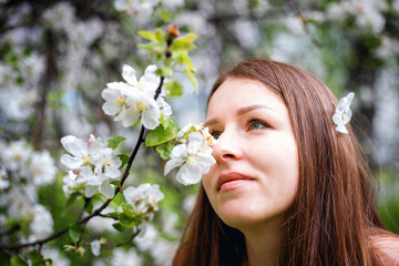 Fototapeta premium Portrait of a beautiful girl with long hair, in an Apple orchard. Spring garden. White flower. An Apple tree blooms in the Park. Model with beautiful hair.