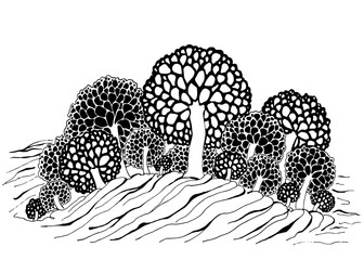 The decorative Trees. Hand drawn sketch, stylized mushrooms, black graphics illustration