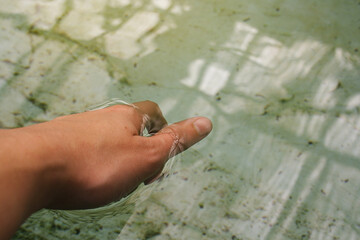Water pond with woman's hand entering the water.