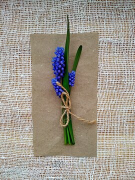 Tiny bouket of classic blue Muscari spring flowers. Classic blue flowers pantone with green oblong leaves on craft recycled paper on white sackcloth