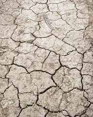  Earth dies without rain, dry season