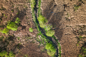 Aerial view of river and swamps in Poland, Europe