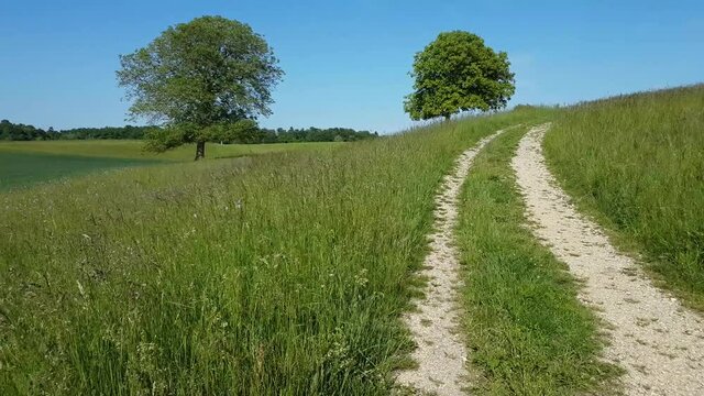 chemin de traverse au printemps 