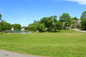 grassy landscape at the park