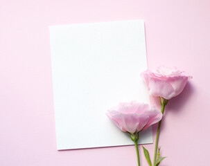 A sheet of paper lies horizontally on pink paper, flowers of eustoma (lisianthus) Top view, Copy space. Concept Mother's Day, Family Day, Valentine's Day