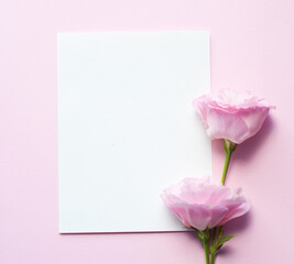 A sheet of paper lies horizontally on pink paper, flowers of eustoma (lisianthus) Top view, Copy space. Concept Mother's Day, Family Day, Valentine's Day. Flat lay	