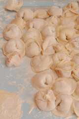 Homemade dumplings are put together on a Board in the kitchen