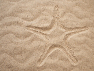 Starfish print in the sand. The concept of summer recreation and relaxation.