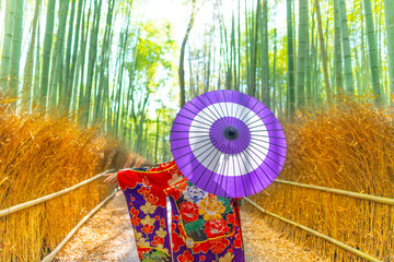 京都の竹林と着物女性