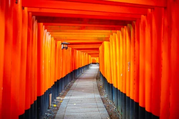 Fotobehang Rood Fushimi Inari Taisha Kyoto  © beeboys