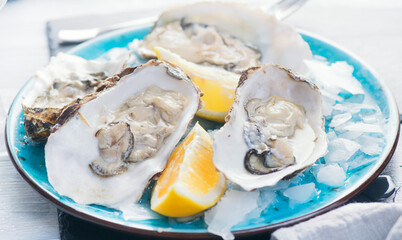 Fresh Oysters close-up on blue plate, served table with oysters, lemon and ice. Healthy sea food. Fresh Oyster dinner in restaurant. Gourmet food concept