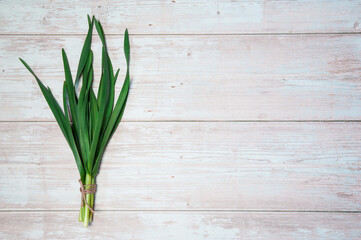 A bunch of feathers of fresh spicy spring green garlic on a light wooden background. Salad ingredient. Free space.