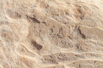 Example of Erosion Pattern Made By Weathering Erosion On The Aztec Sandstone,  Red Rock Canyon NCA, Las Vegas, USA
