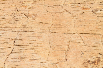 Weathered Erosion Patterns on The Aztec Sandstone of the Calico Hills,  Red Rock Canyon NCA, Las Vegas, USA