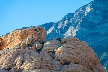 Lizard Shaped Rock at The Sandstone Quarry With The La Madre Mountains in The Distance, Red Rock Canyon NCA, Las Vegas, Nevada, USA