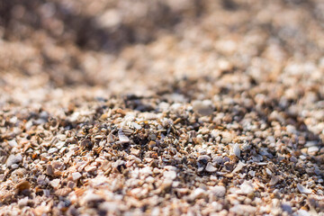 sand texture background