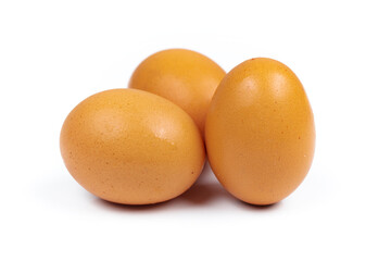 organic chicken eggs isolated in white background
