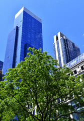Obraz na płótnie Canvas Tall high rise skyscraper with blue sky in Manhattan New York