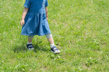 子供　公園　お散歩　夏