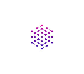 abstract polygon logo design element . technology logo design template