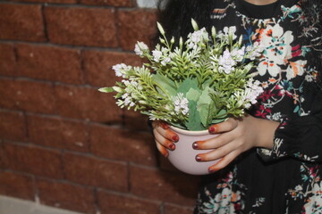 bouquet of flowers in a pot