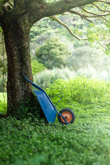 A blue wheelbarrow in a vibrant garden. 