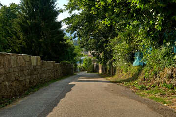 galicia road with trees and a wall