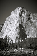 Fototapeta na wymiar El Capitan Mountain at Yosemite National Park in Black and White