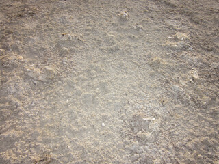 Salton Sea