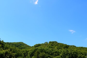 Fototapeta premium 青空 緑 爽やか 風景 栃木