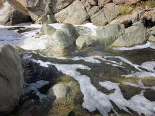 Los Penasquitos Canyon - 1