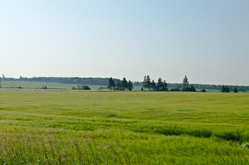 Fototapeta na wymiar View of fields and forests
