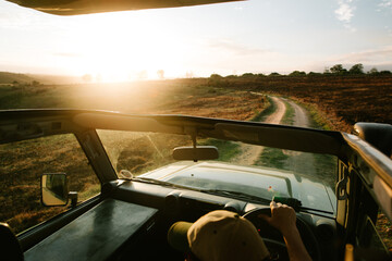 game drive in africa during sunrise