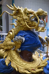 Dragon, an animal in Chinese literature