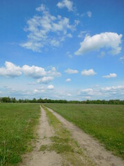 road in a summer field stretching over the horizon in a blue sky with white clouds landscape