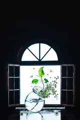 Open window with bird cherry flowers knocked by the wind, conceptual spring still life