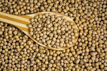 Soybeans in a wooden spoon on the table