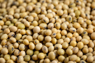 Top view Soybean pattern as for background