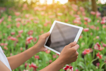 Young Woman Using or Playing Tablet in Garden.