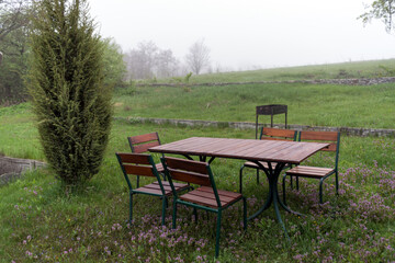 Empty wooden table with chairs and arborvitae tree on a green meadow with flowers