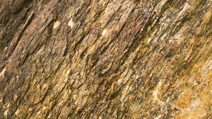 Rocky mountain texture