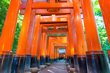 Japanese gates in Fushimi Inari Shrine Unesco World Heritage Site, Uji, Kyoto, Japan.